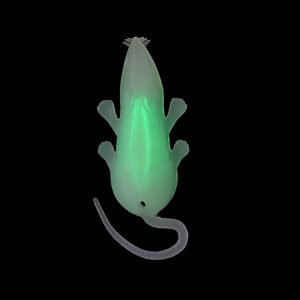 Glow Mouse