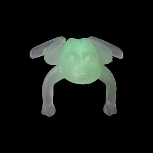 Glow Frog